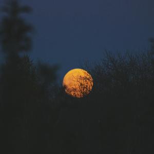 老师张腿让我❌一晚视频
