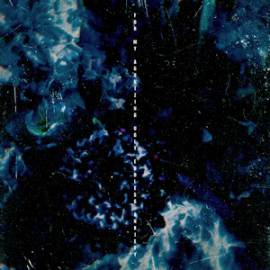 老师张腿让我❌一晚视频
